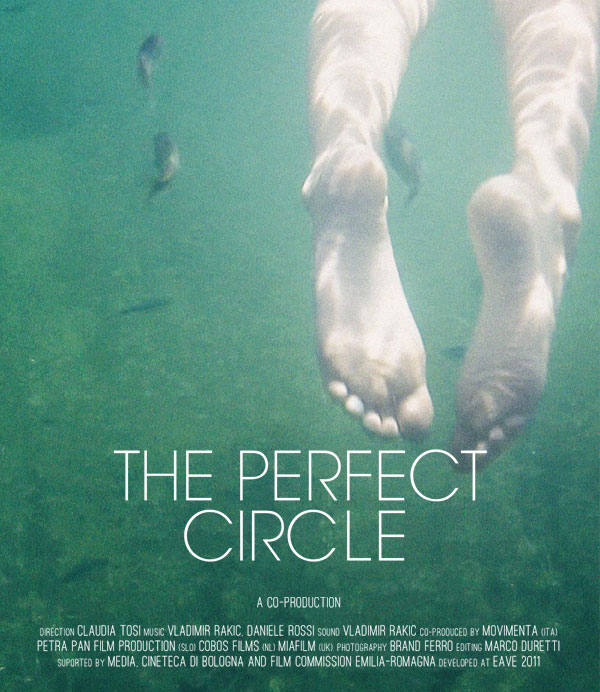 View The Perfect Circle